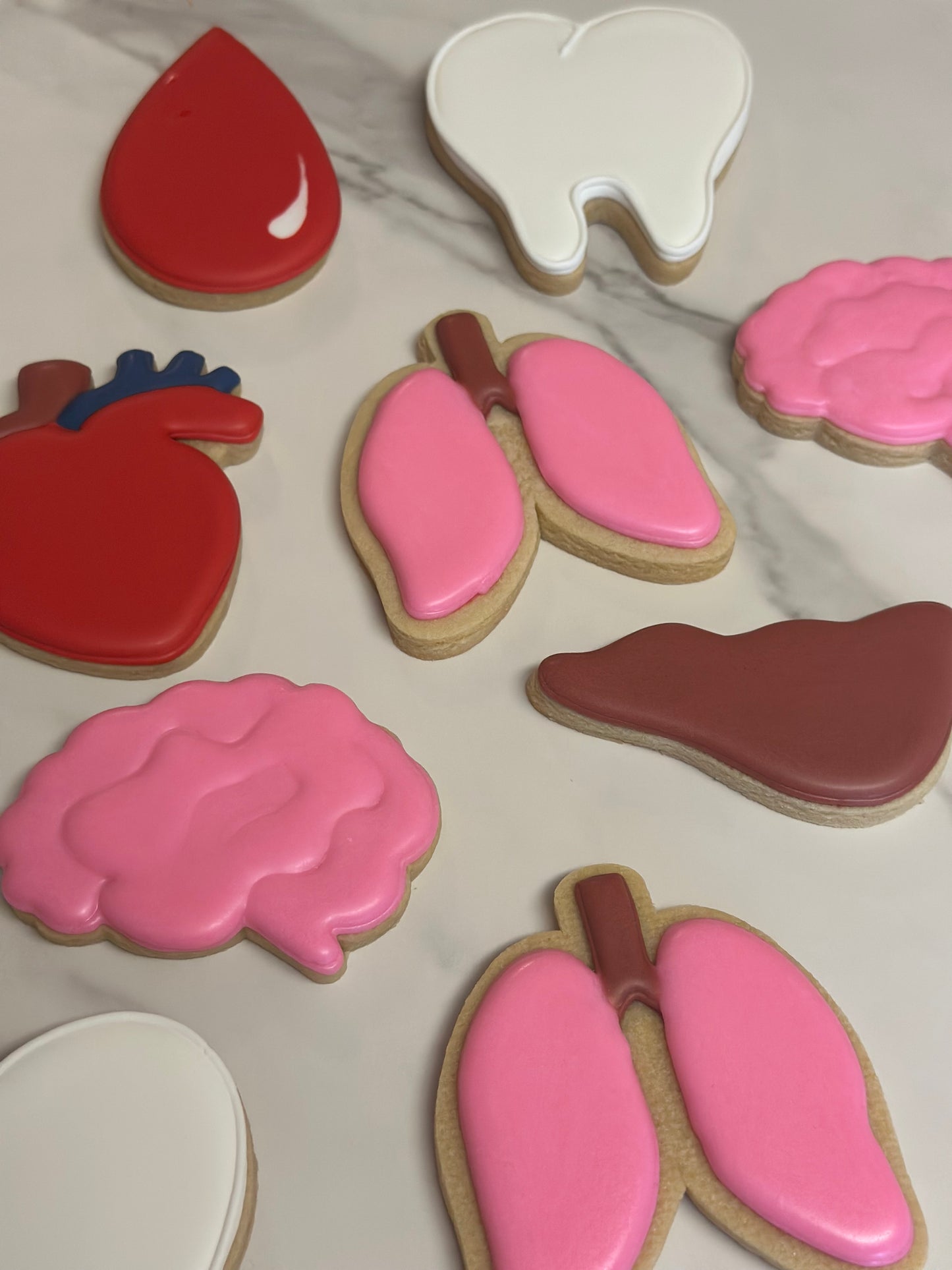 Brain Cookie Cutter STL File