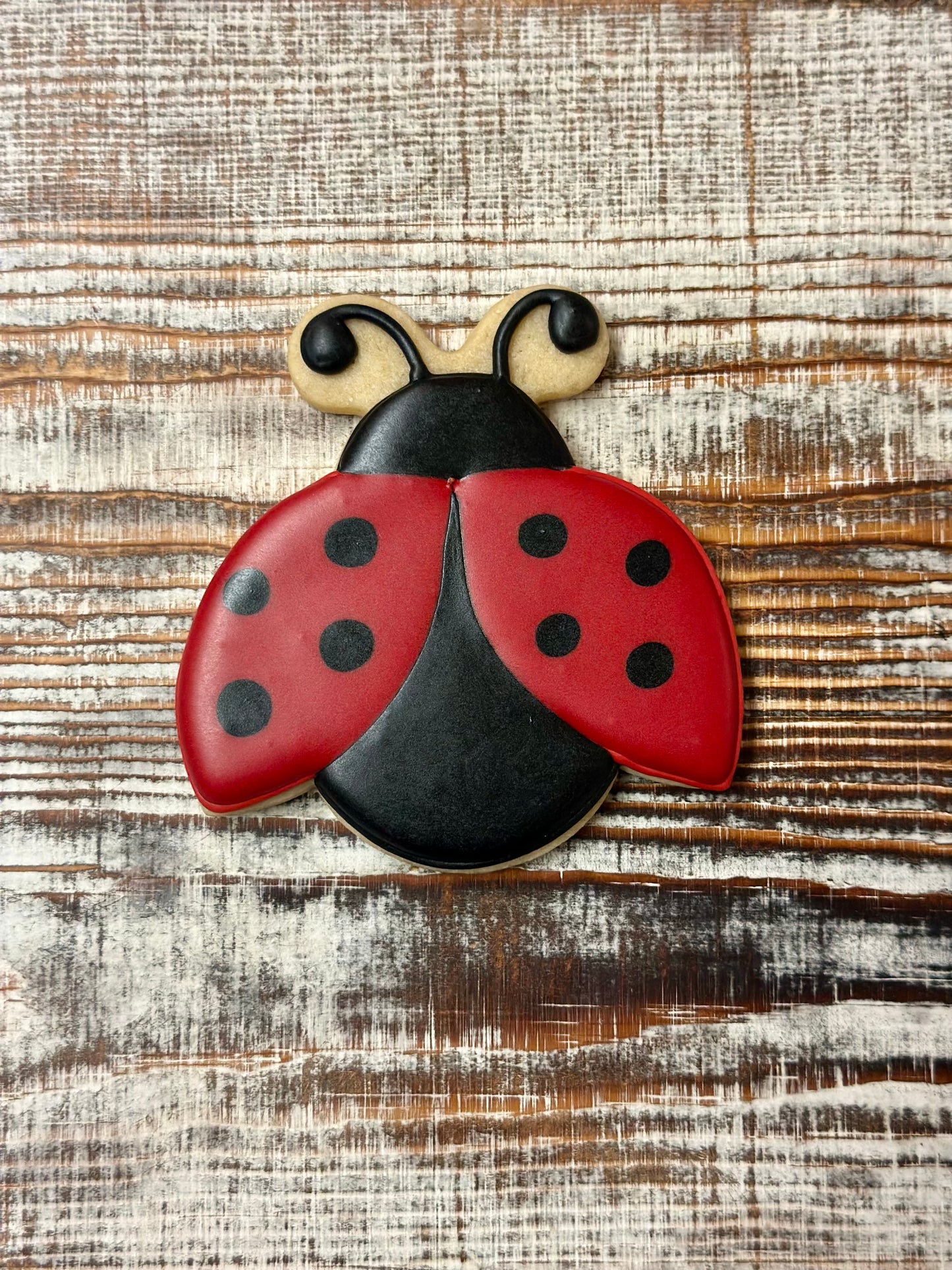 Ladybug Cookie Cutter STL File